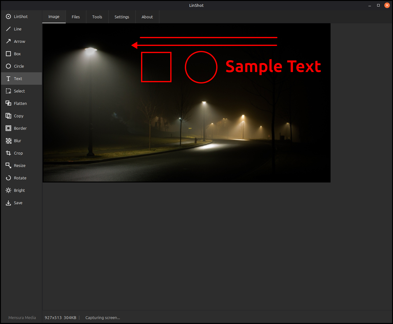 Linux Screen Shot Tool screenshot