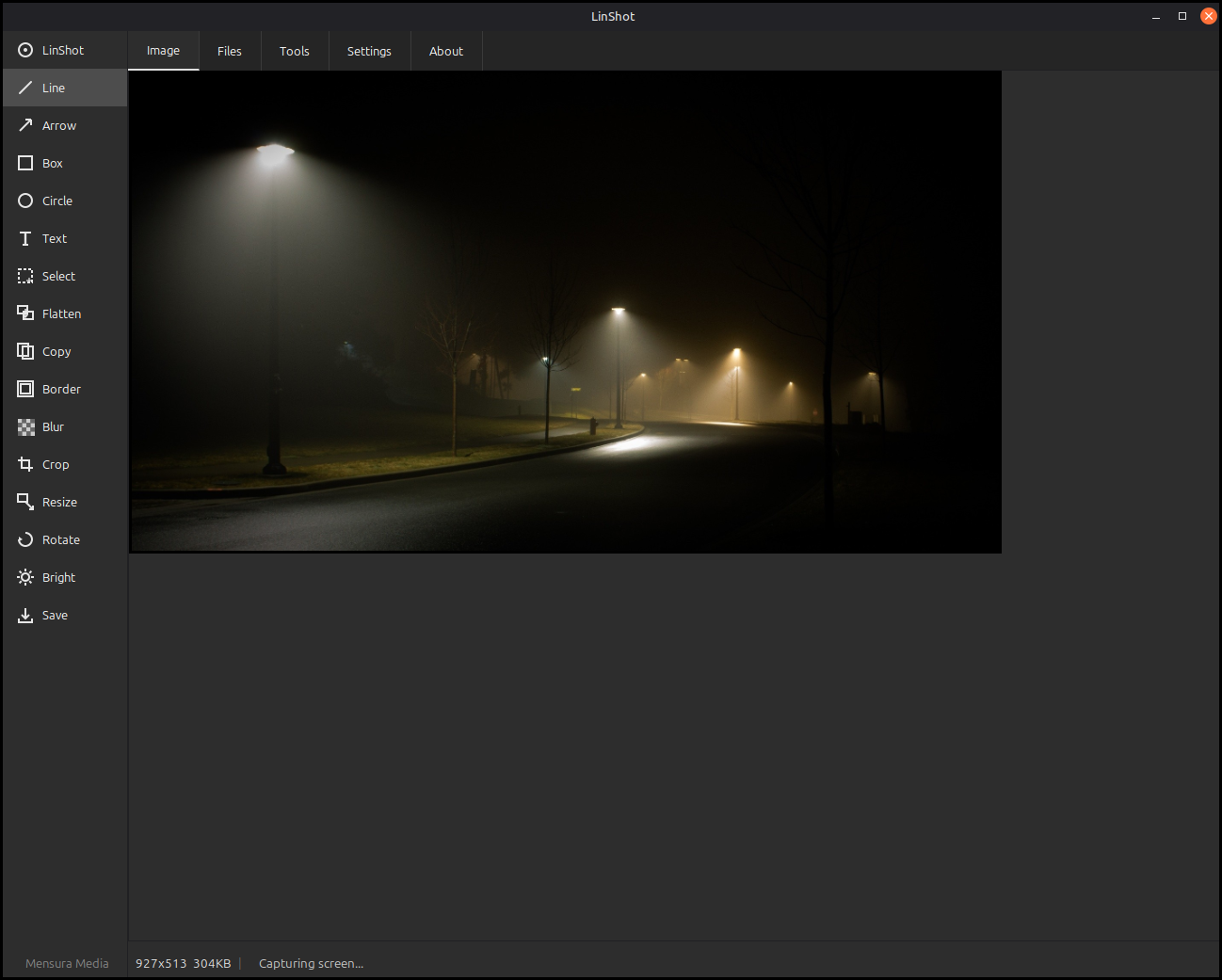 Linux Screen Shot Tool screenshot